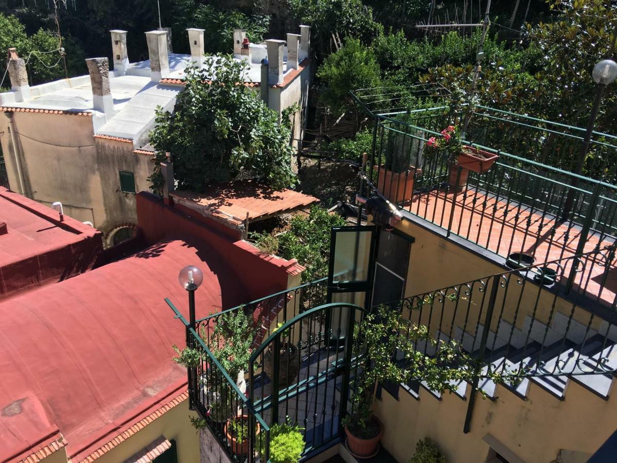 B&B Lemons Coast Cetara Exterior foto